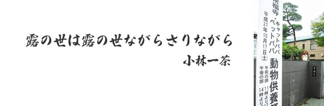 「春らしいお天気でした・・・」