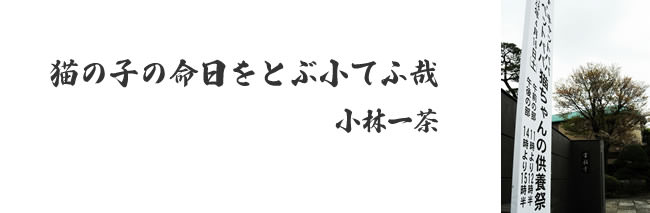 「猫ちゃんの供養祭エントランス」