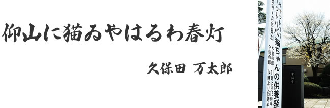 「猫ちゃんの供養祭エントランス」