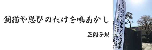 「猫ちゃんの供養祭エントランス」