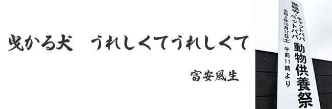 「猫ちゃんの供養祭エントランス」