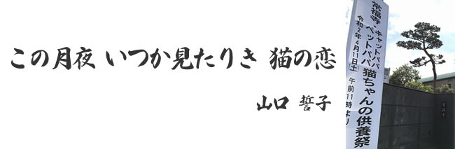 「猫ちゃんの供養祭エントランス」