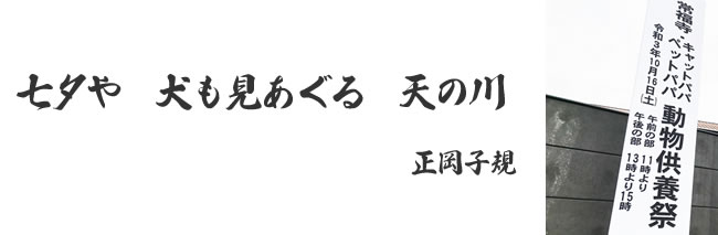 「猫ちゃんの供養祭エントランス」