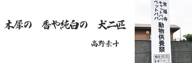 「供養祭エントランス」