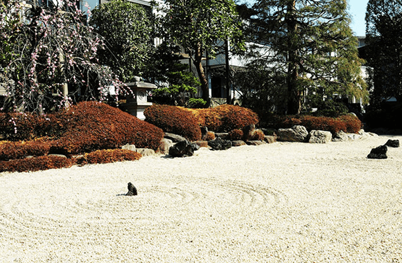 季節で庭園の彩が移ろいます・・・