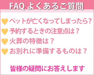 FAQよくあるご質問