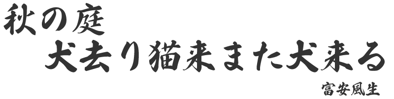 秋の庭 犬去り猫来また犬来る