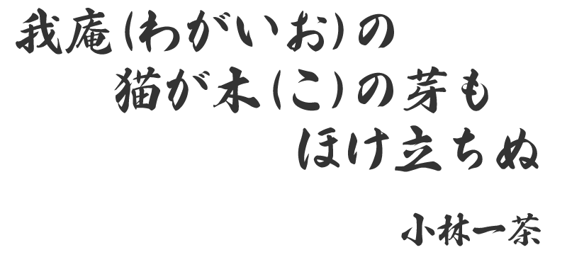 我庵(わがいお)の猫が木(こ)の芽もほけ立ちぬ
